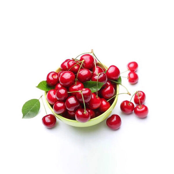 (500 pcs) Hộp bã mía 1 ngăn đựng thức ăn có nắp 600ml - Hình ảnh 2